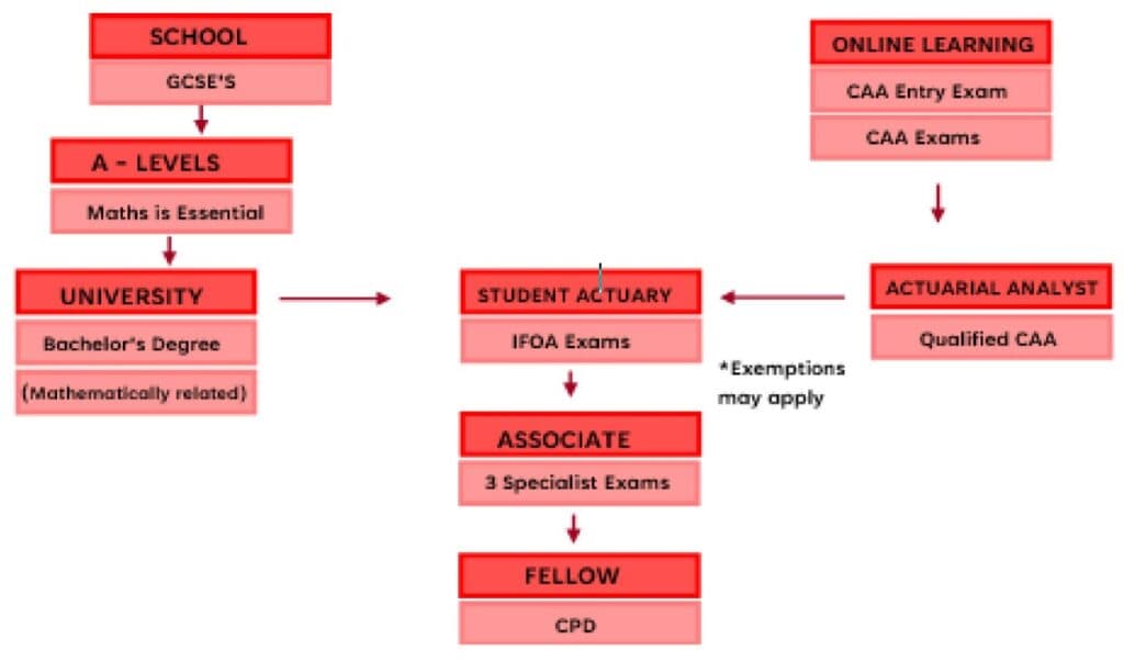 Graphic summarizing academic and skill requirements for actuarial science