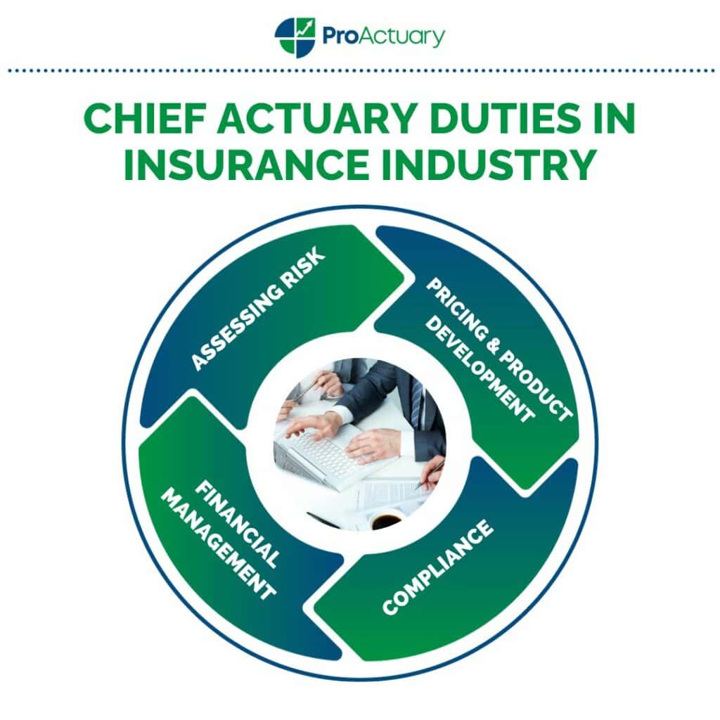 Graphic representation of the chief actuary's duties in the insurance industry, focusing on risk assessment and financial management