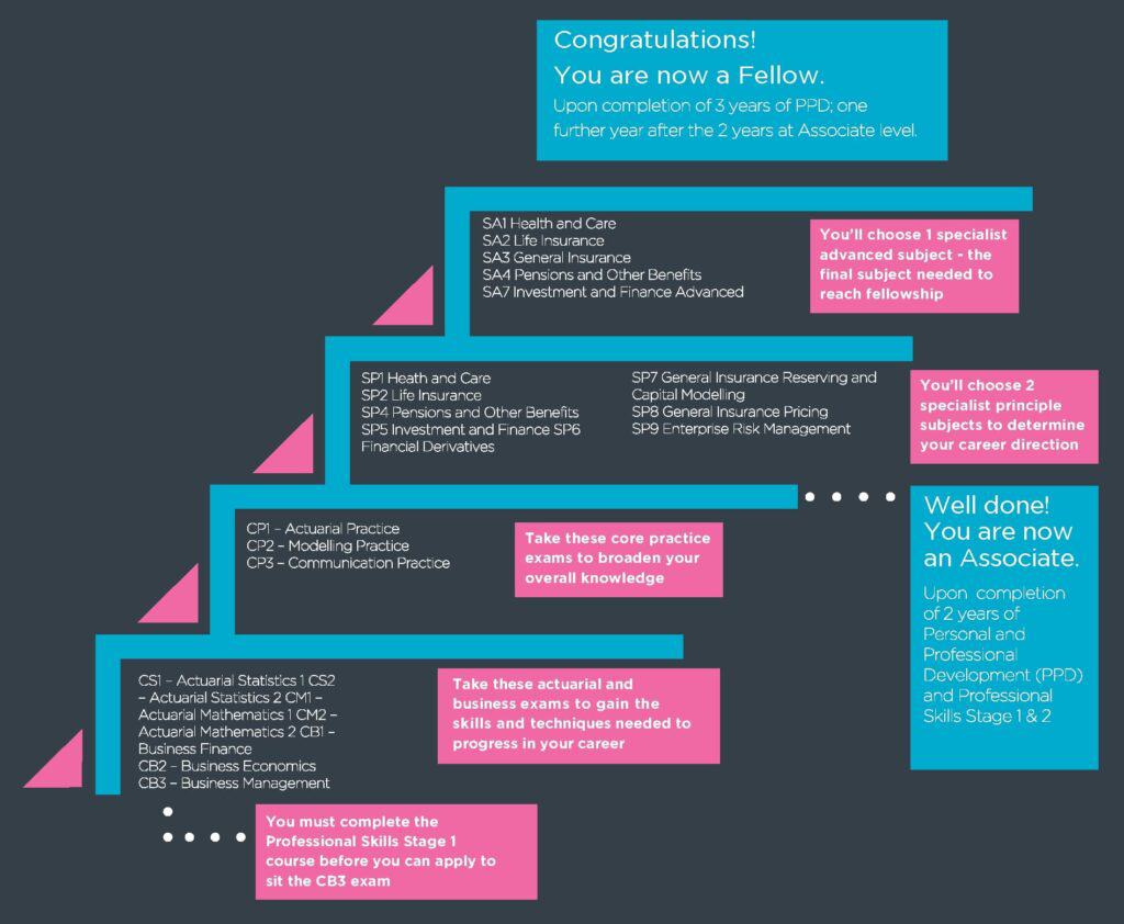 What Does an Actuary Do? Revealing Expertise and Big Impact