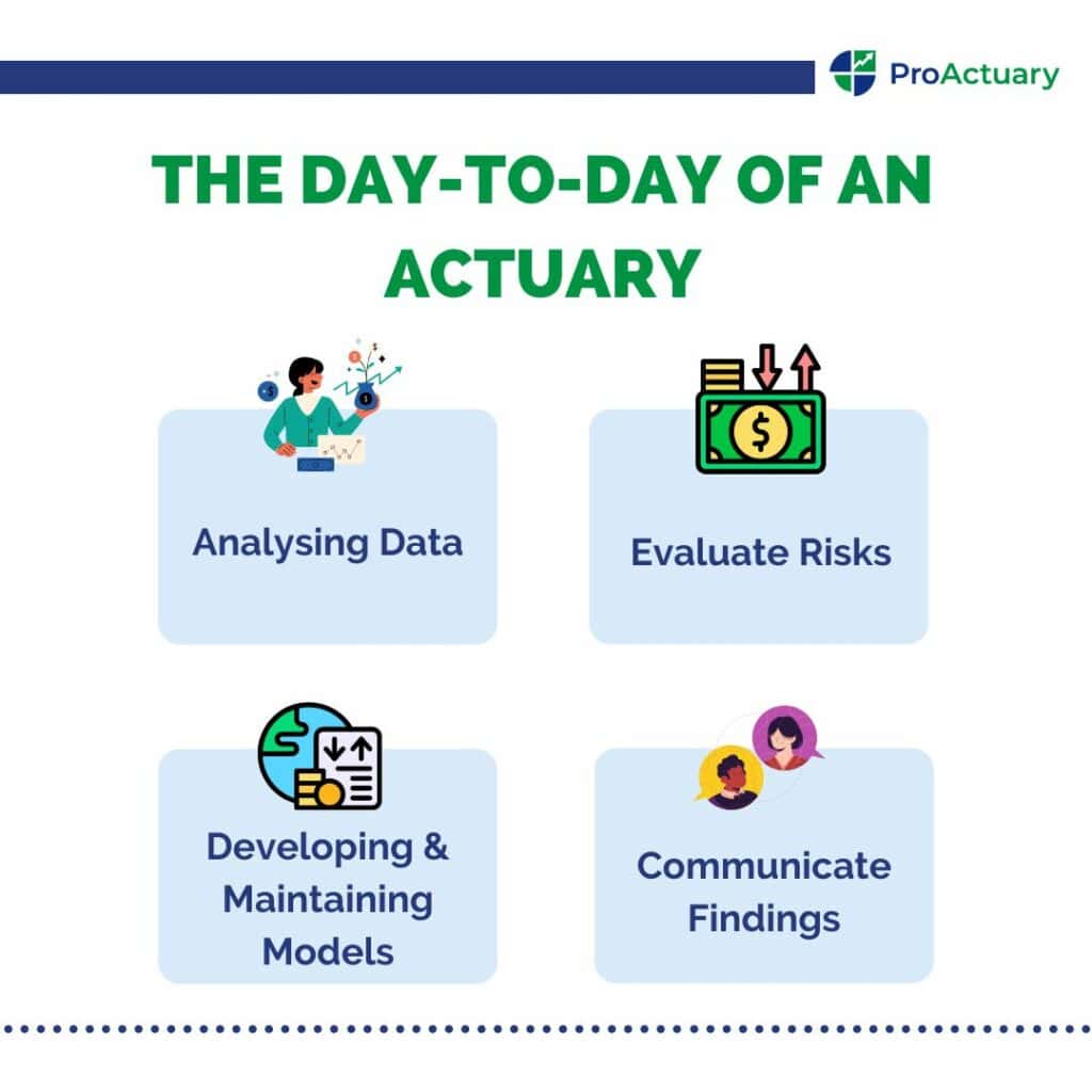 Diagram outlining the daily tasks of an actuary, emphasizing the diverse roles in what actuaries do.