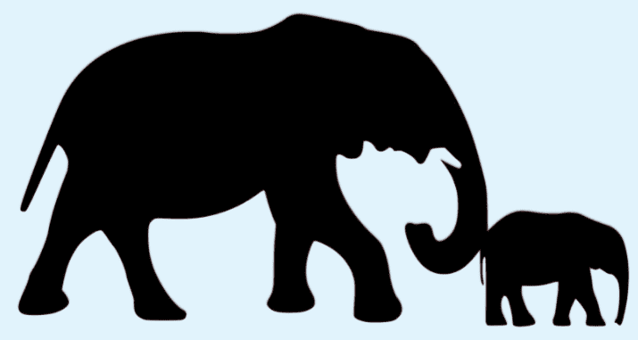 elephant Nudging
